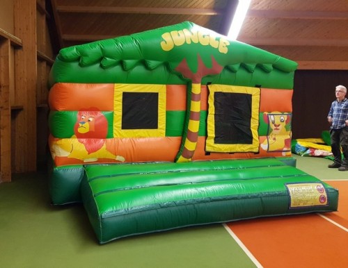 Springkussen Jungle Leeuw overdekt